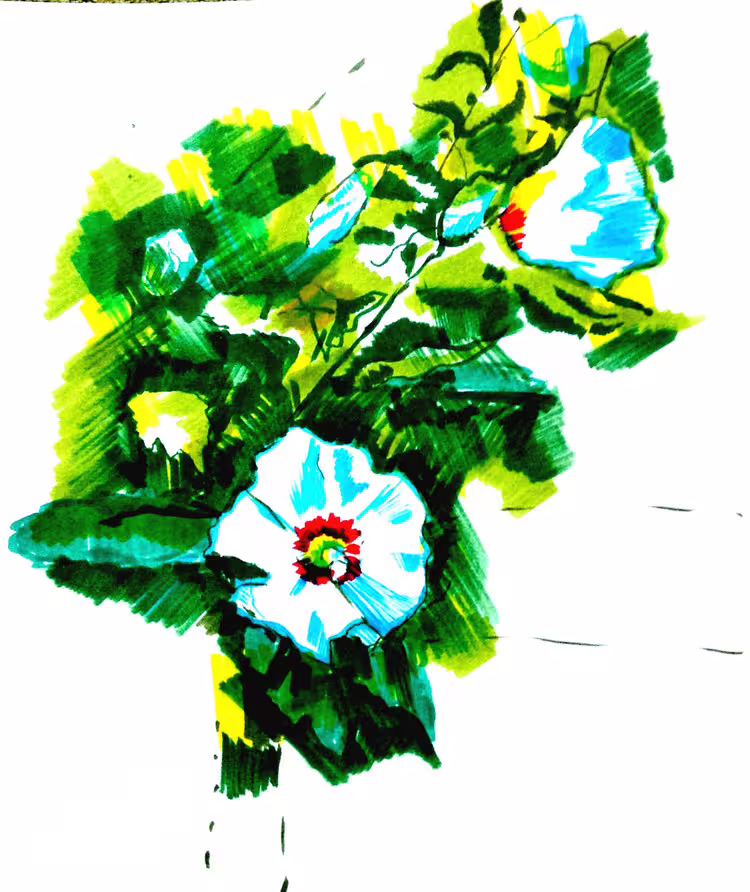 41254/RQB2IoVO6m255BFZGcytMUbtaC4ZcPN1bp5Q779E.jpg