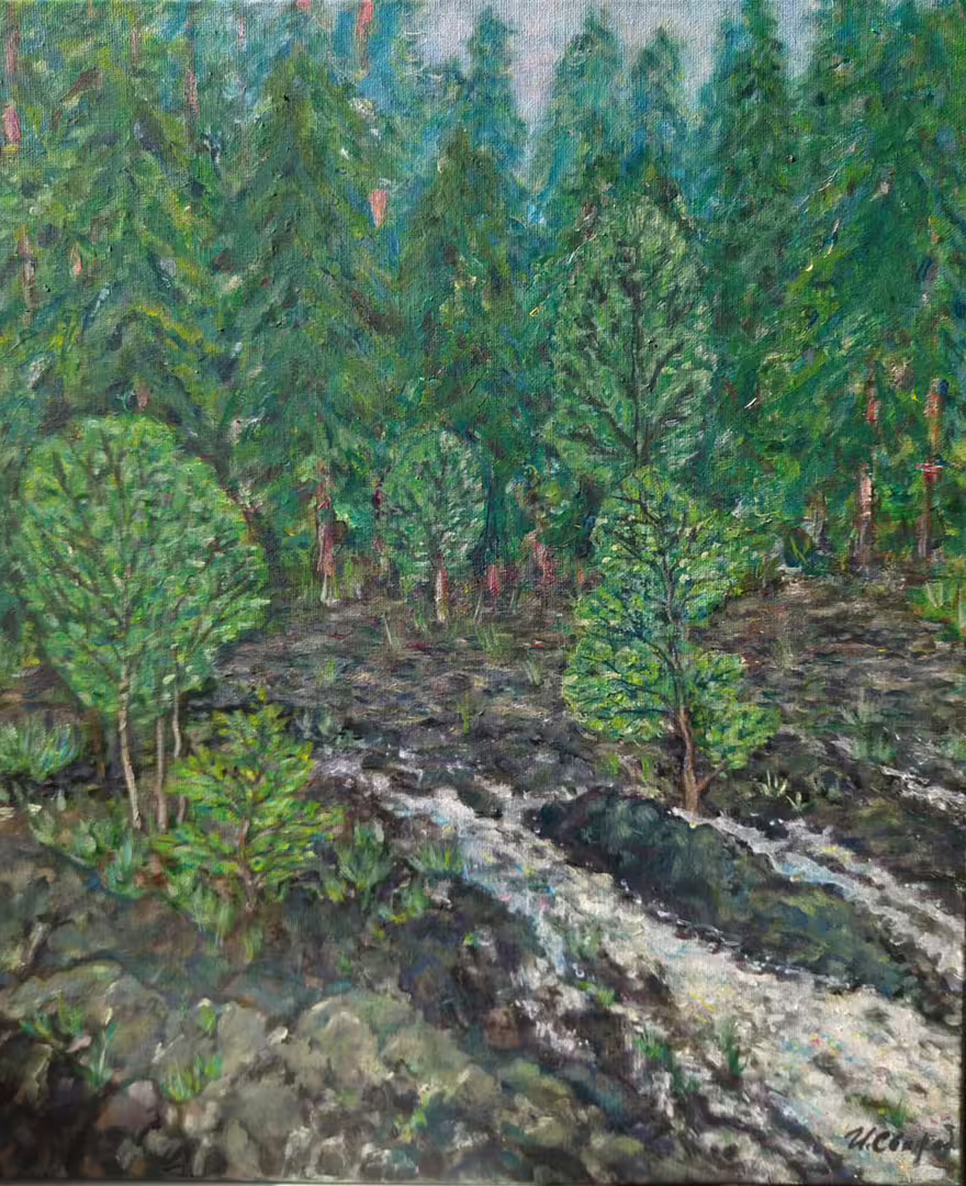 forest.jpg