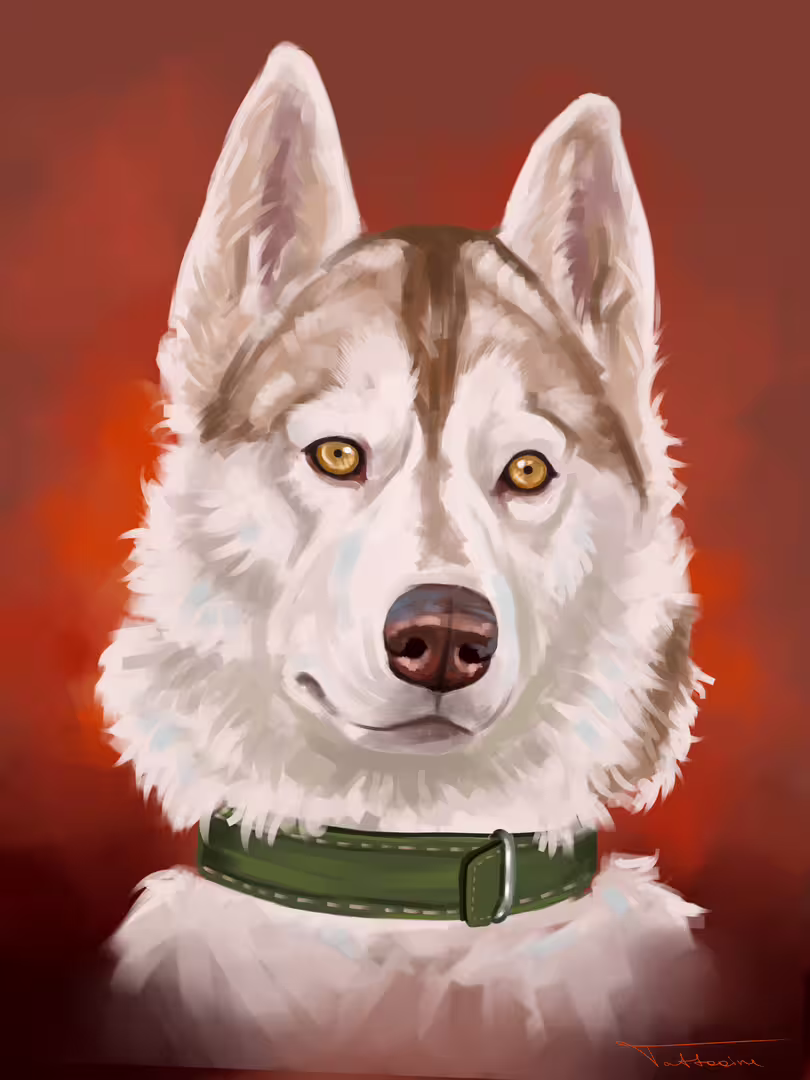 41488/QzZPXtPqzuwkoqJpd3QcwdIFsqt9JFptD2bqDpZ5.png