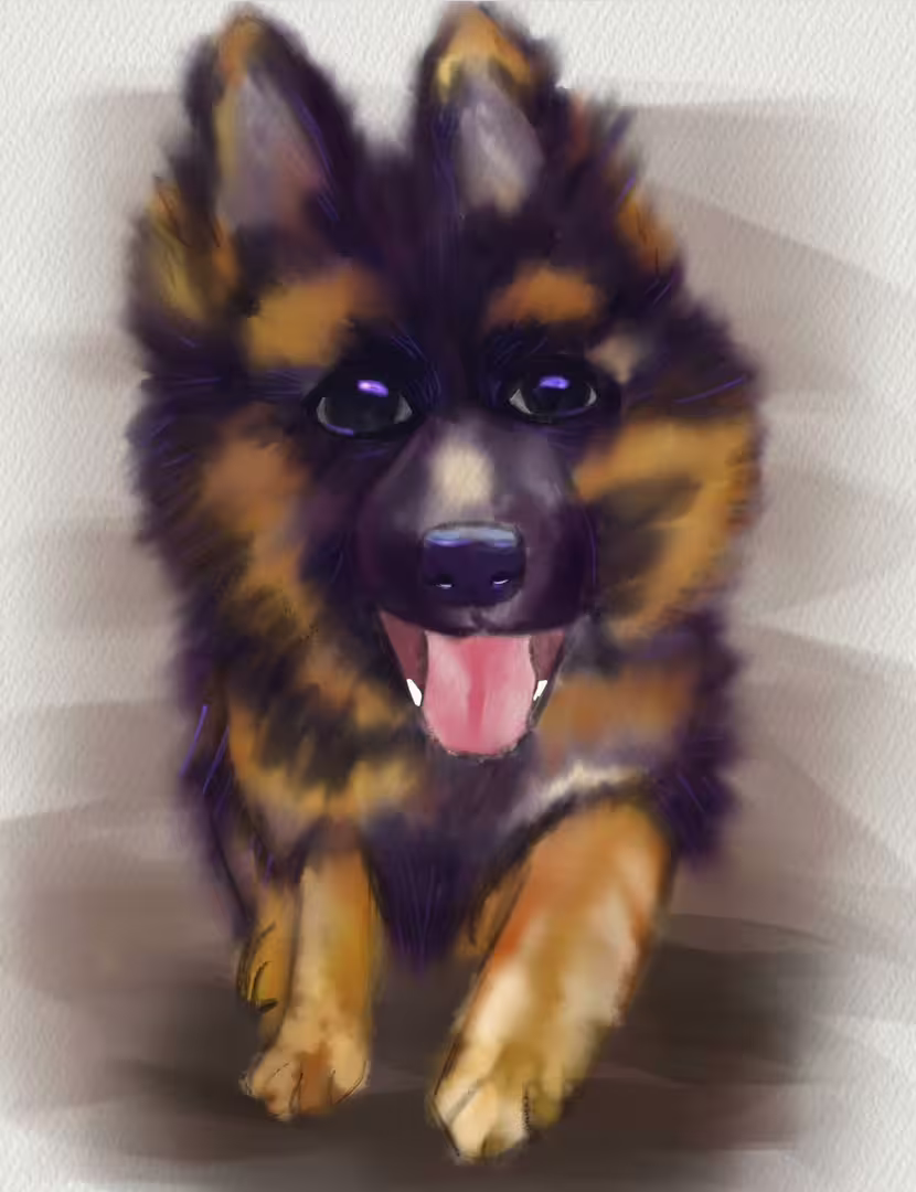 42037/Bhm9BnQLPI4k9PudwyQimSM6eOapJXHjAAPmFpux.jpg