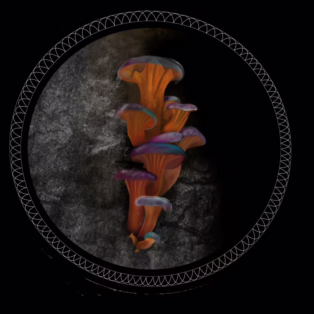 42051/K4BMjIYlqJdQ2d5SsJCVysYiFfX4gY3N4mN4ffBs.png