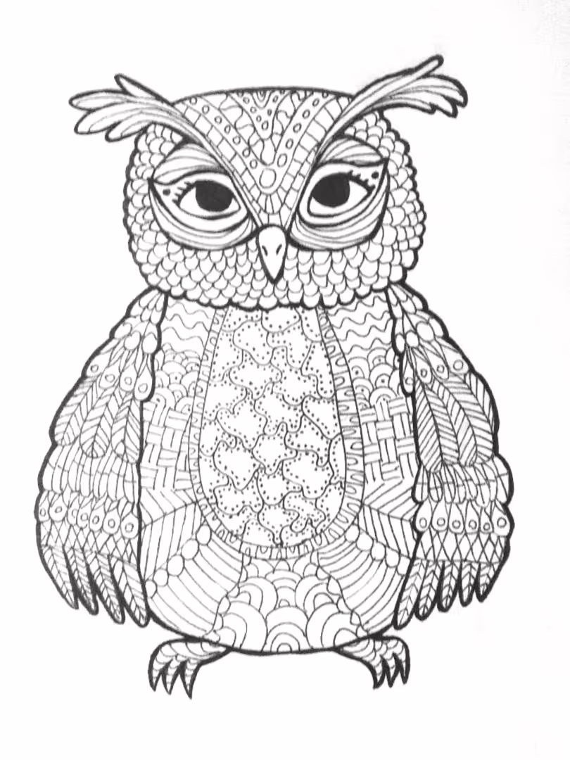 42110/ym4i3v0J4F9Apgnq4iPQC5q35R3B58tkJU0VFHBf.png