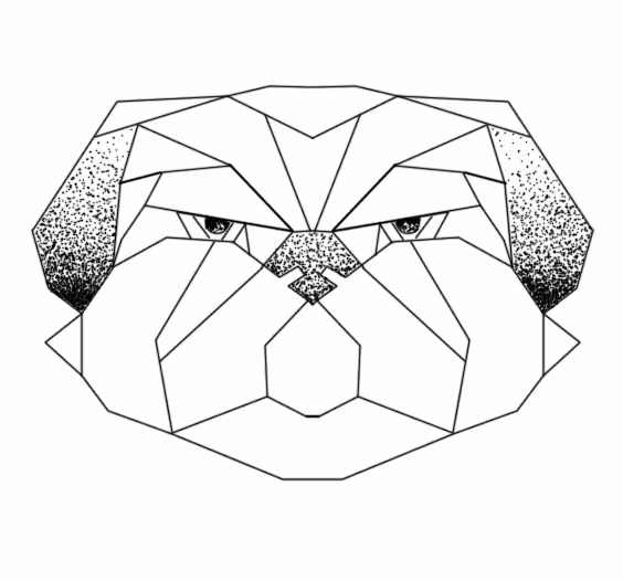 42156/YZWrt6dRMhoEHzQnQ2aRh8MTVjaxA25VvbPpzTKl.jpg