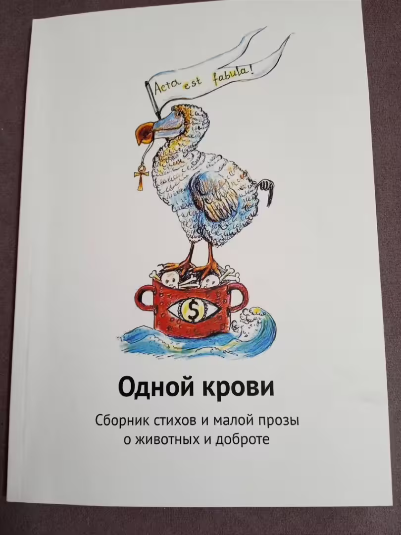 42223/QtyeziGPZ1ex0Fu1FLcffmrRxNbzDIYQHp5eCrcT.jpg