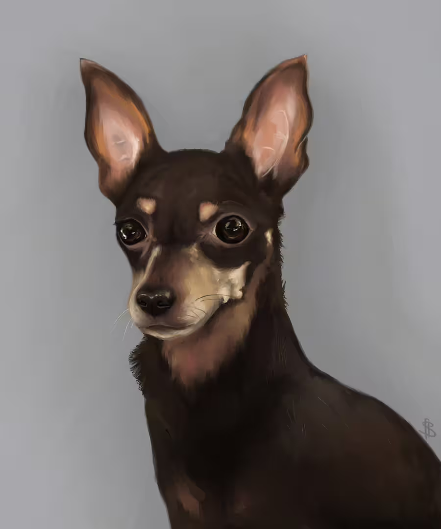 42325/JoDqmFt1oqBm1nZg5kATVZQB8gEVvMK2MJHMffsU.jpg