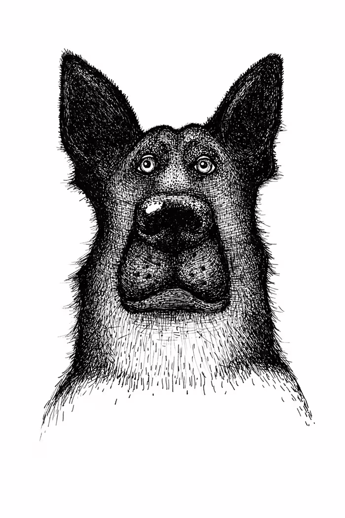 42401/9eFBk0BtTcsCPImNFbquokXlUsBpgqFXLIgJLwb3.jpg