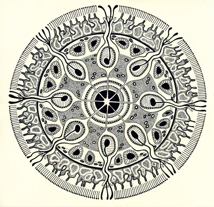 42455/0j5ahDebprfE7CIV6zdxUSLK8v67eJ8W783lezY0.jpg