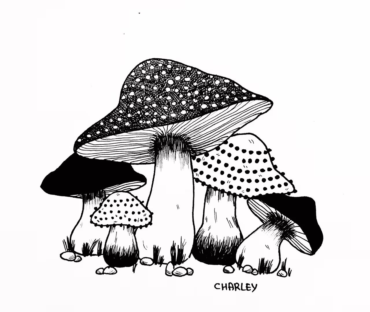 42839/wDtbb6rdHjXntcb3d1UHyqtswxtYnh3xpwsMTjqc.jpg