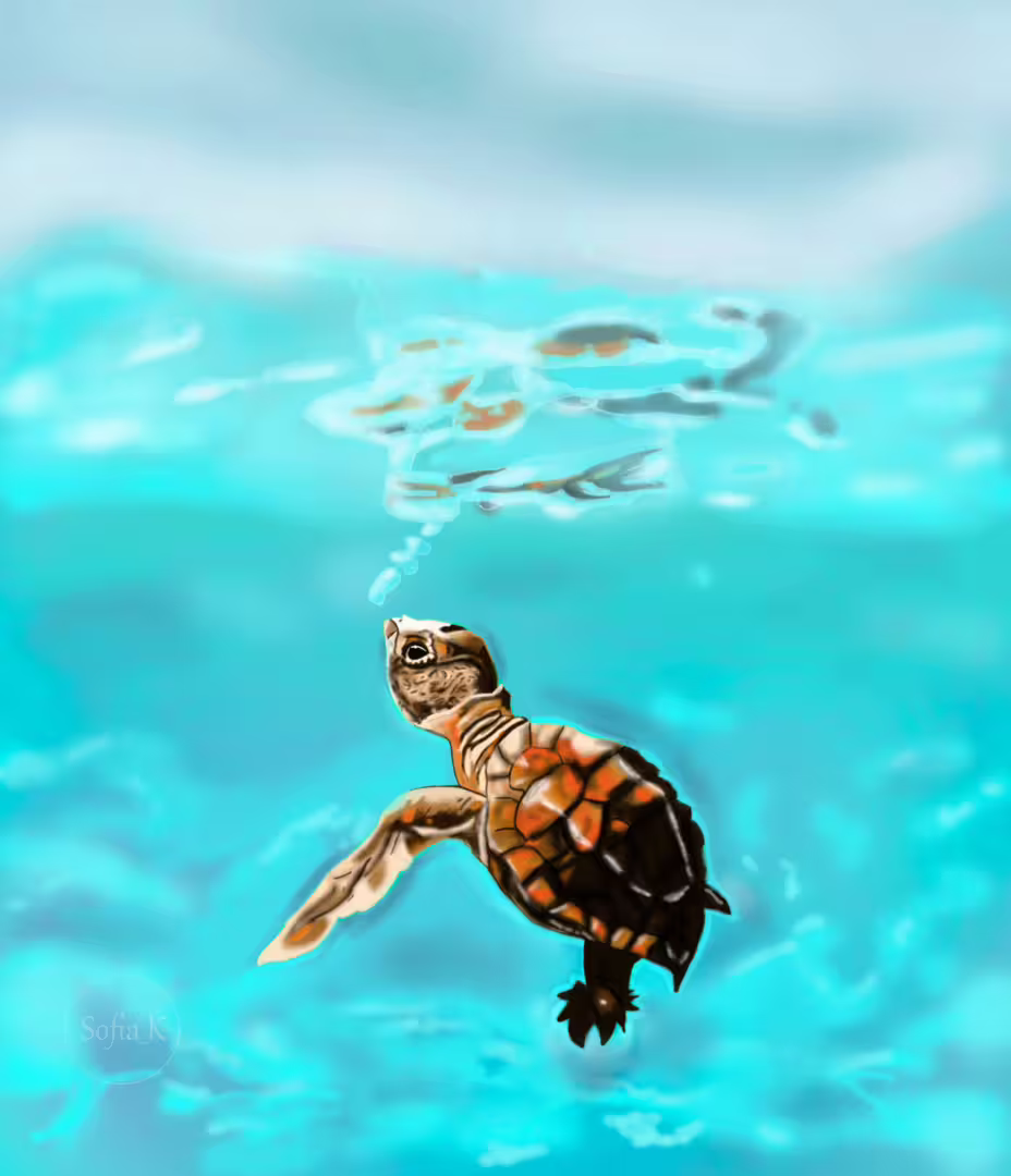 42852/uJDfQqVOEi17CAdqtfepcE44UikG8m4QNvmqH2NG.png