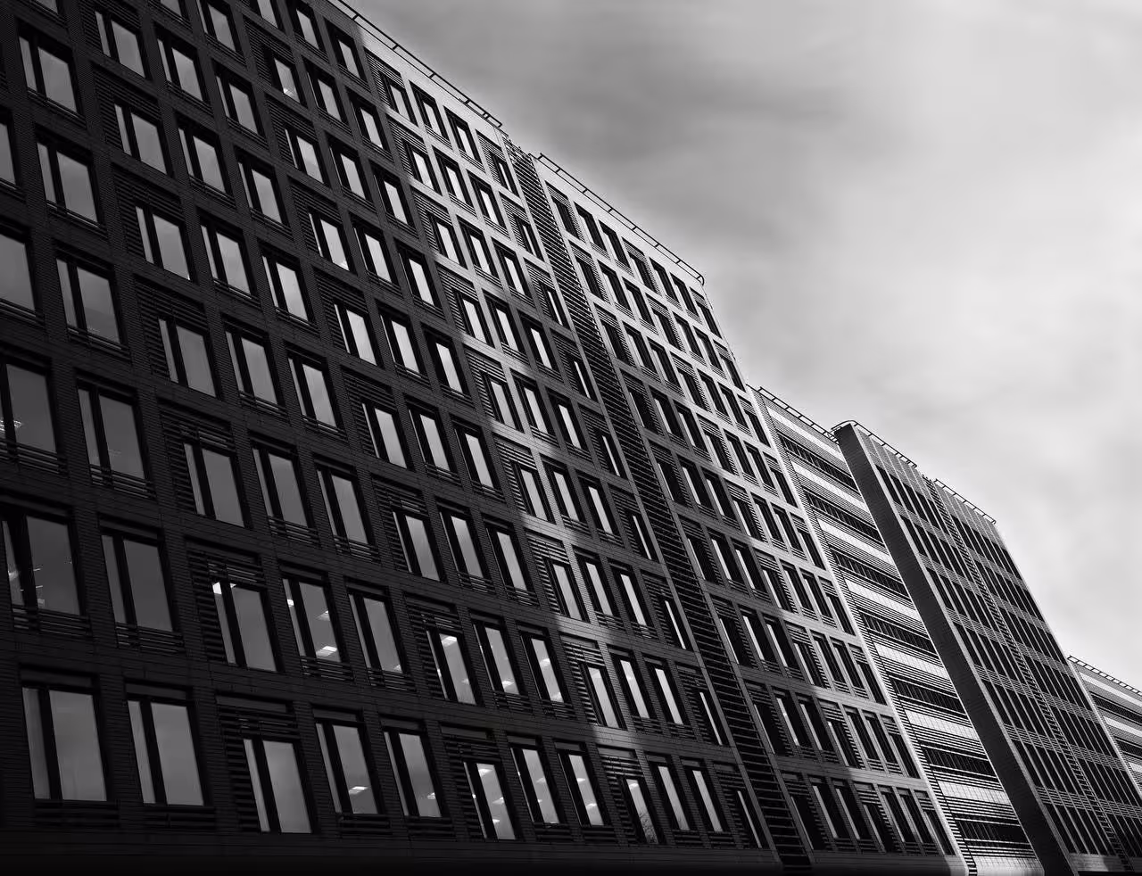 IMG_7691.jpeg