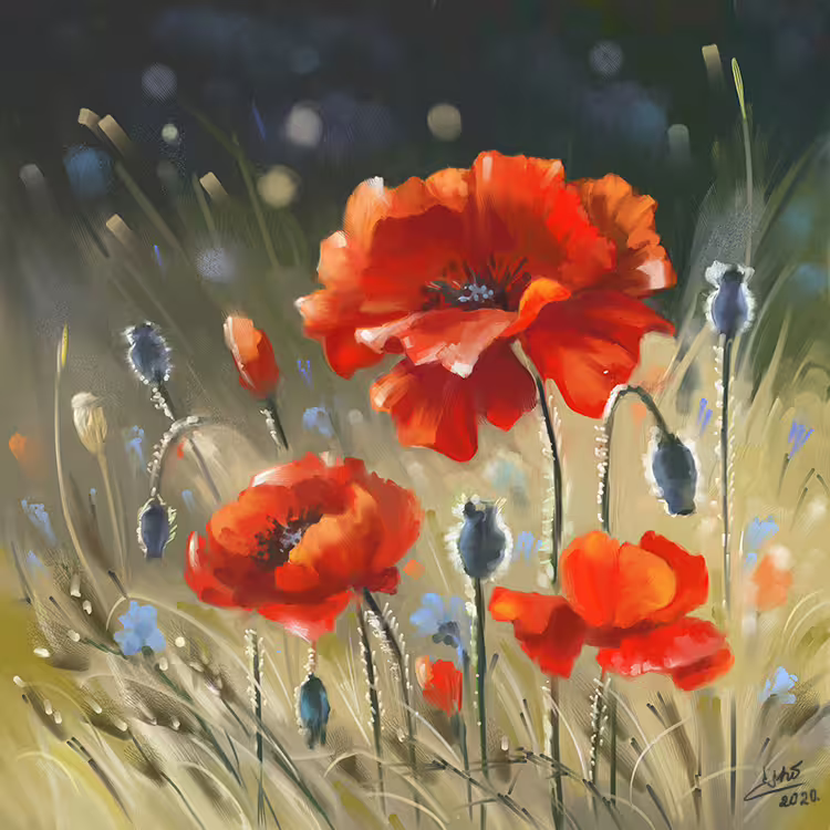 flowers poppies painting_as.jpg