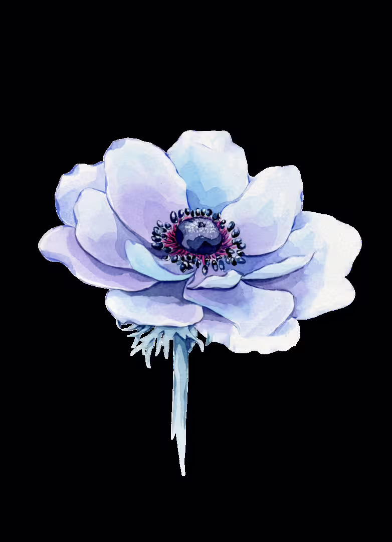 43314/QkEvnZIeWkdg4DNN5MLjo8Ta2bdS7Jb2ZYkzOs0u.png