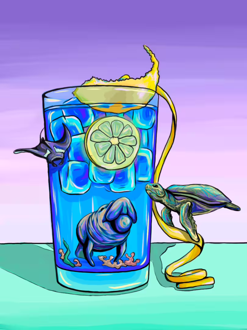43362/sld9HrWUqSphowtFpdolHjx824oz02dP5hquBQ0E.png