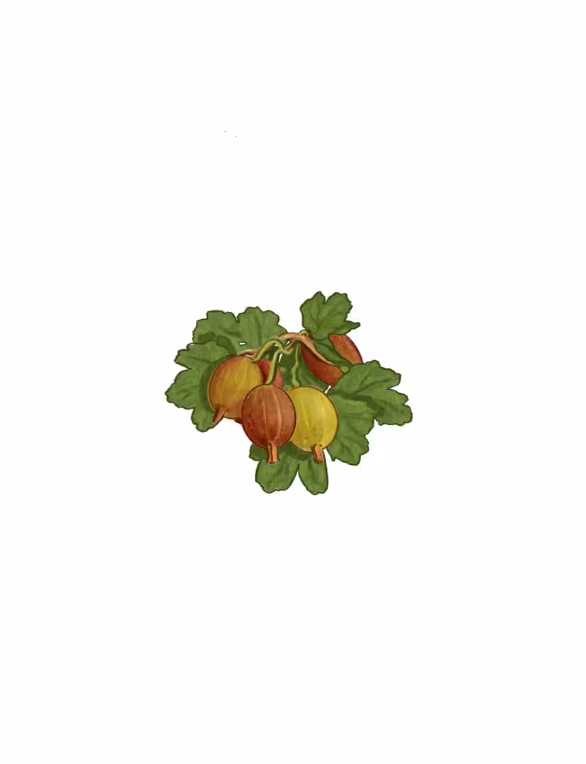 43515/ZJPL7JicfRWefUYpPwiLJIo06YdGgHGAEj0lkmhT.jpg