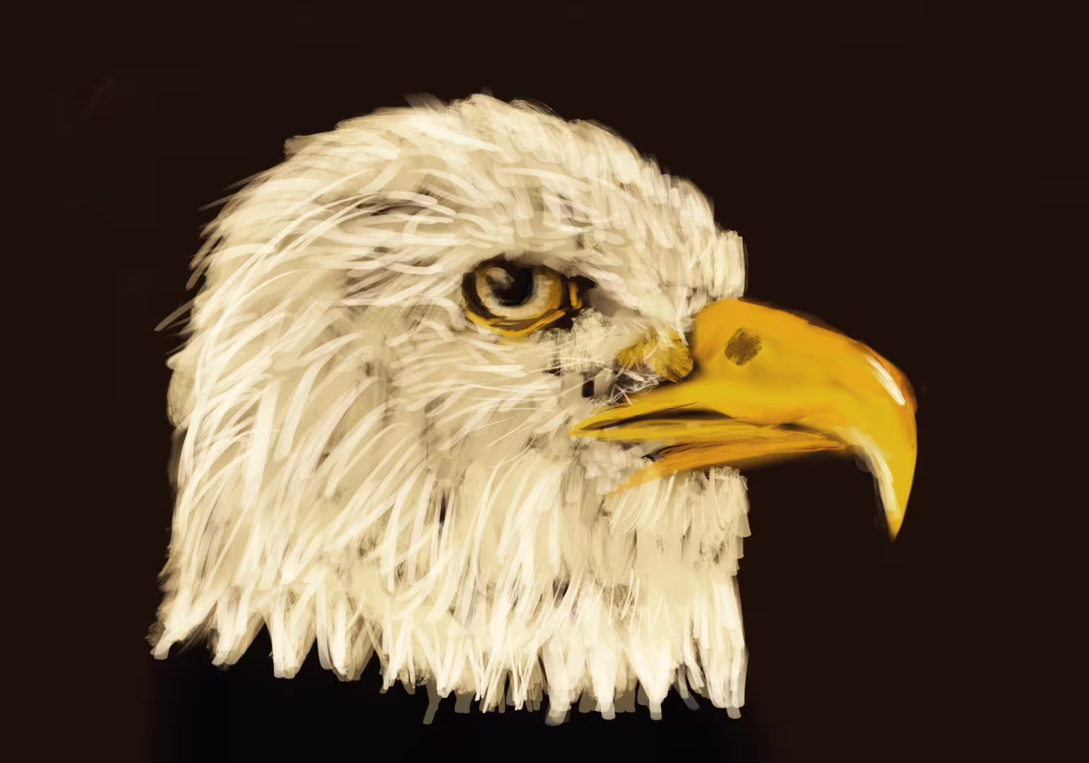 43565/u1U26OkS5KUsfsupO5AeKC9McWIXb22fRCgoAgIe.jpg
