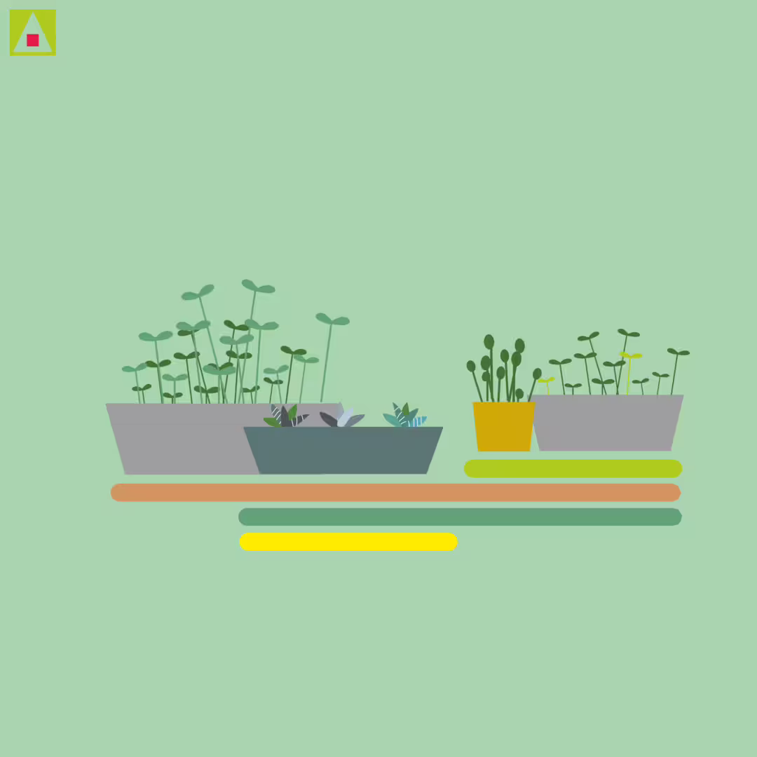 43616/AtW0tEtcgKbg9eYsr0sBL1YyH26aoCKkKBoKkUJU.png