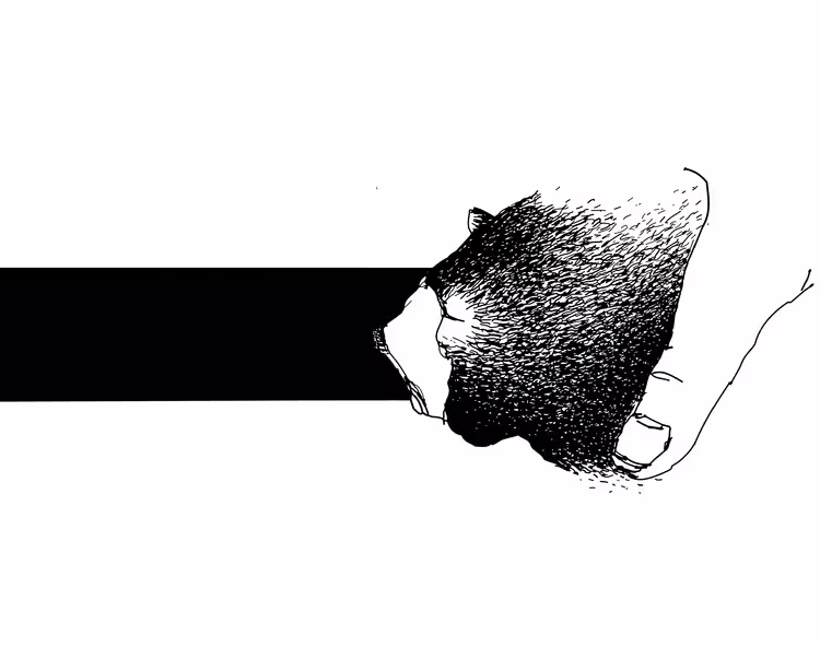 43906/y2VxLvcrXTptmdw3wYMIkyJzhxNfJZy1ZkqmbyBF.jpg