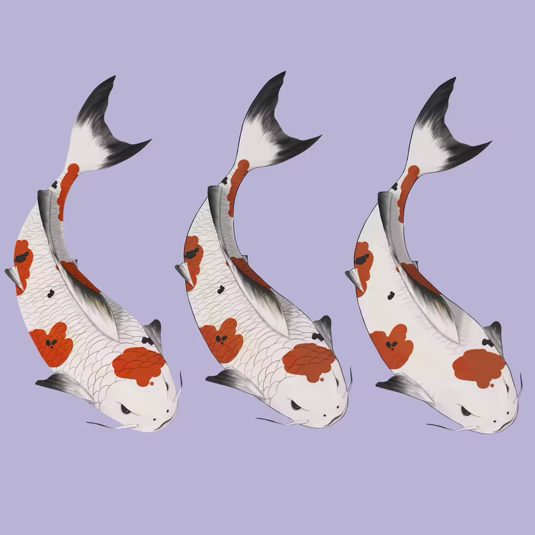 44197/tDHhjUsJoNzu4EIgVrzHkWcPStvXxTLOf8OtxrPR.png
