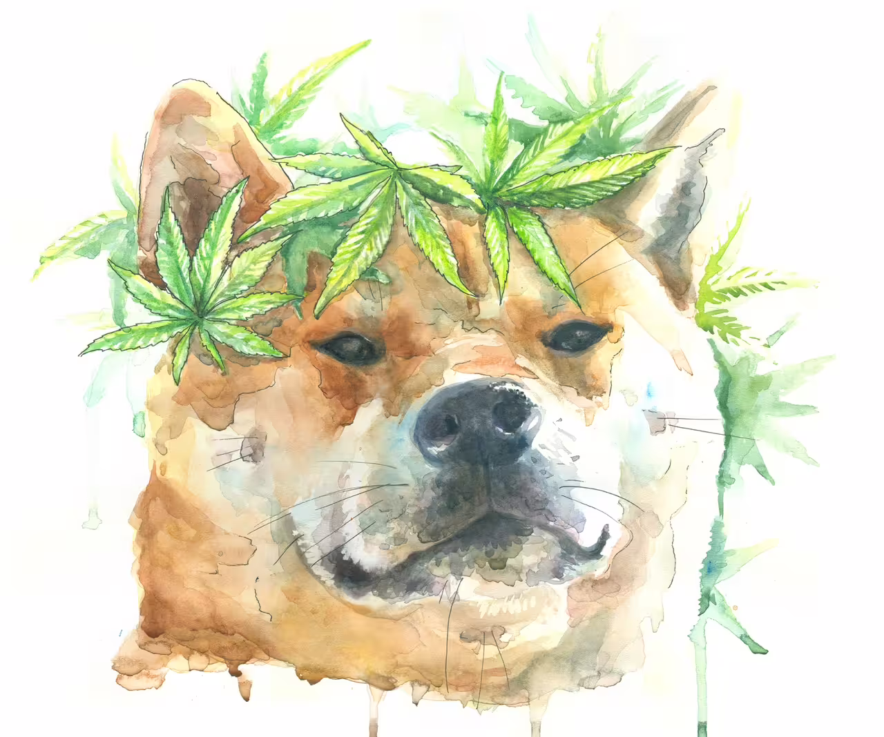 44209/OaKYiPgA6jDvNTqUW0tG2DRkXbjIVHeI4nE4CLJV.jpg