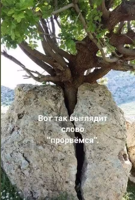 44275/tczAPhJJMVFqXSp4xrnNgraaQ6PGaYGw5k6Rkw4r.jpg