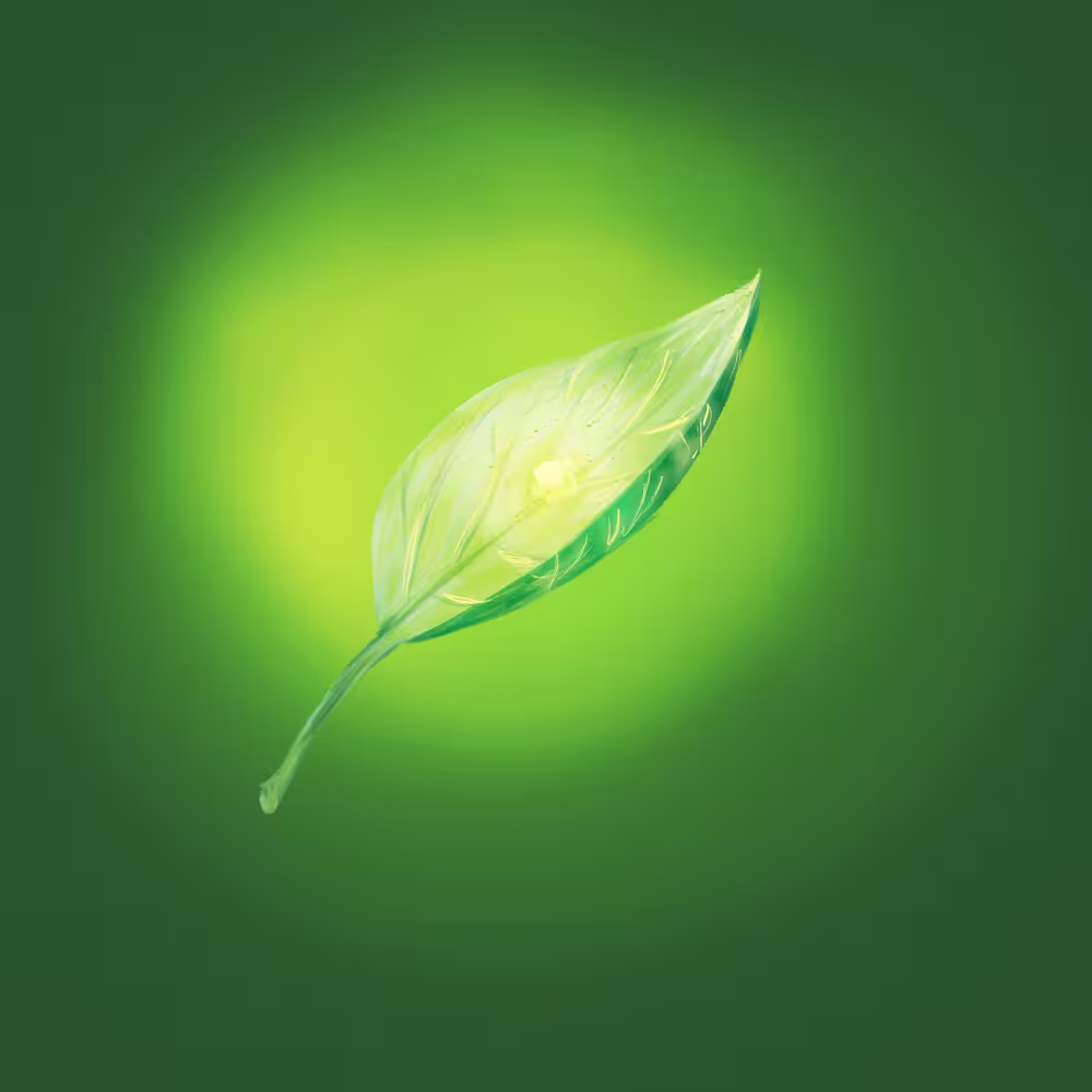 44377/O62pzD5yaEBq2v28hEFc1ALhaQloByWjHH2SLZ9f.png
