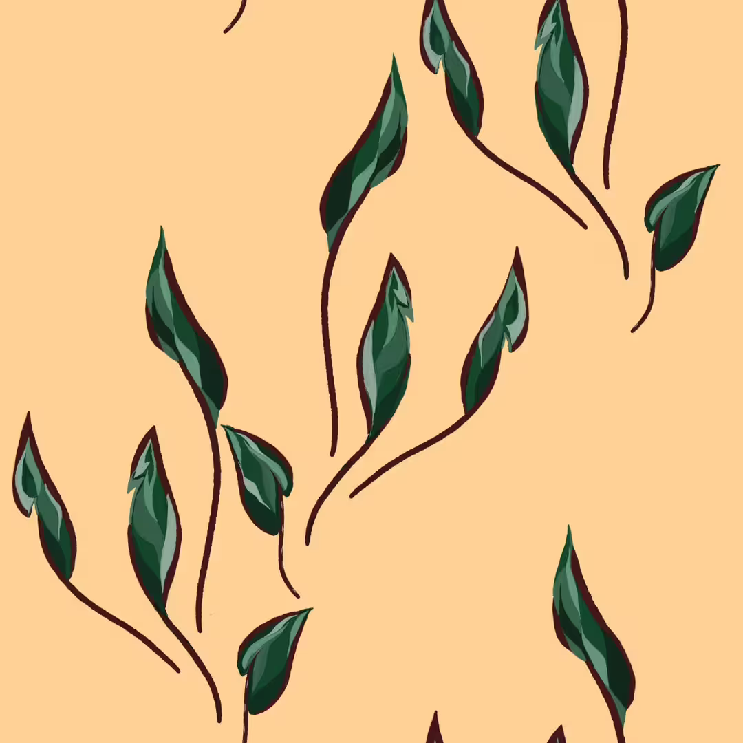 44390/pqSAe6j5fyeJm7nRZcT3hUEvHdxGrWdHCulLtsmZ.jpg