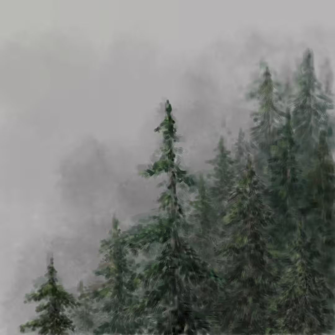 44585/cC8pYmZ793s5lFiOqFmNjZgQX9Qt2pFvTstCBzOy.jpg