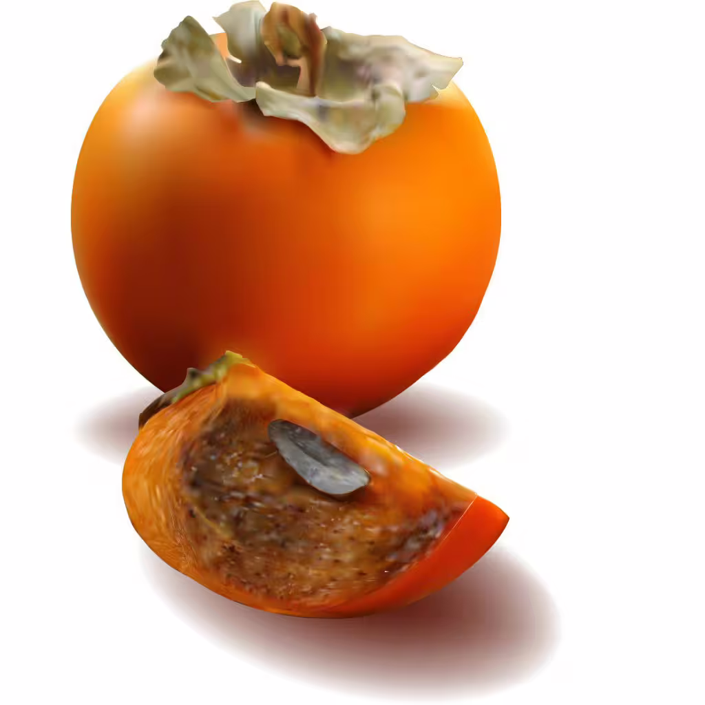 44861/q9Z5WSewdYAxB3OXdbStXSIxSZqklkbvjbI6EZet.jpg