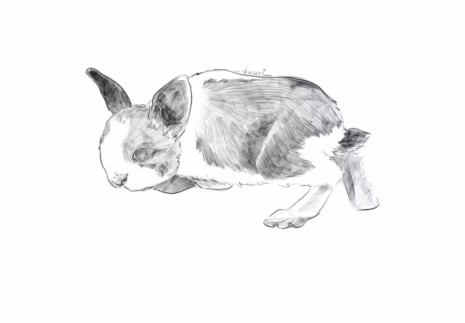 45380/SlPfWnfk2O2MBcdTMlfkpKhhUfvwdF9PuPPqk0xz.png