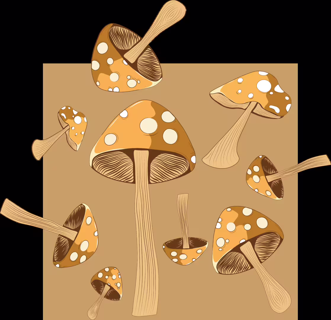 45386/I4JNZoXdsc3CyoChdhrhprsc042xP17RudxdOsi4.png