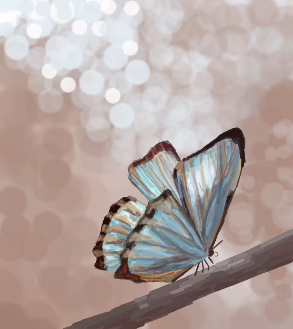 45399/QOOCMarjaSJh4mzfPudehMsE6a3s83eXqAeuRM2c.png