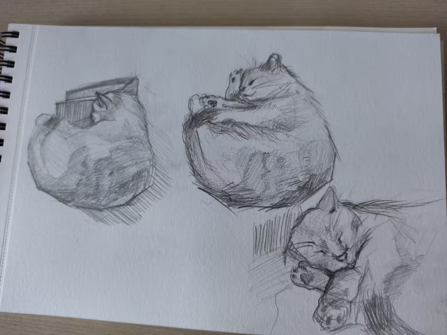 45582/BFqjY9MMXvNlhtdPFe7BfZ1TrB3VMvijnQSS3zY0.jpg