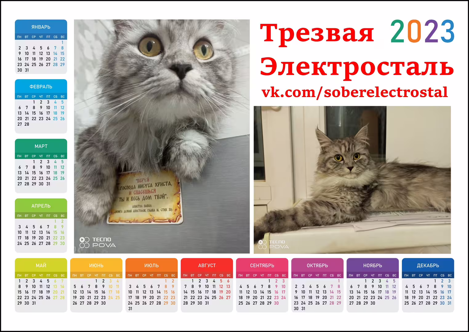 45705/Ox7Fs3yJfepiOnedIixsFRm25aloaPXVx3qRQ2tQ.webp