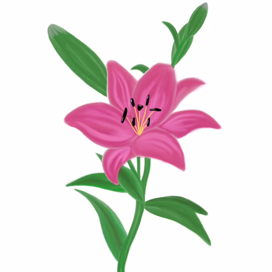 45819/ACWXhcXh46lO914WcbNLXNMdIHKfrKJQPjumq5ge.png