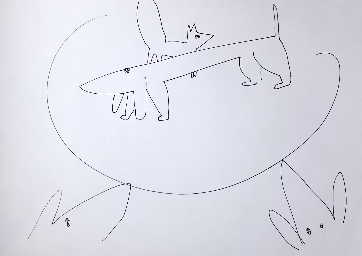 20171220_104615.jpg