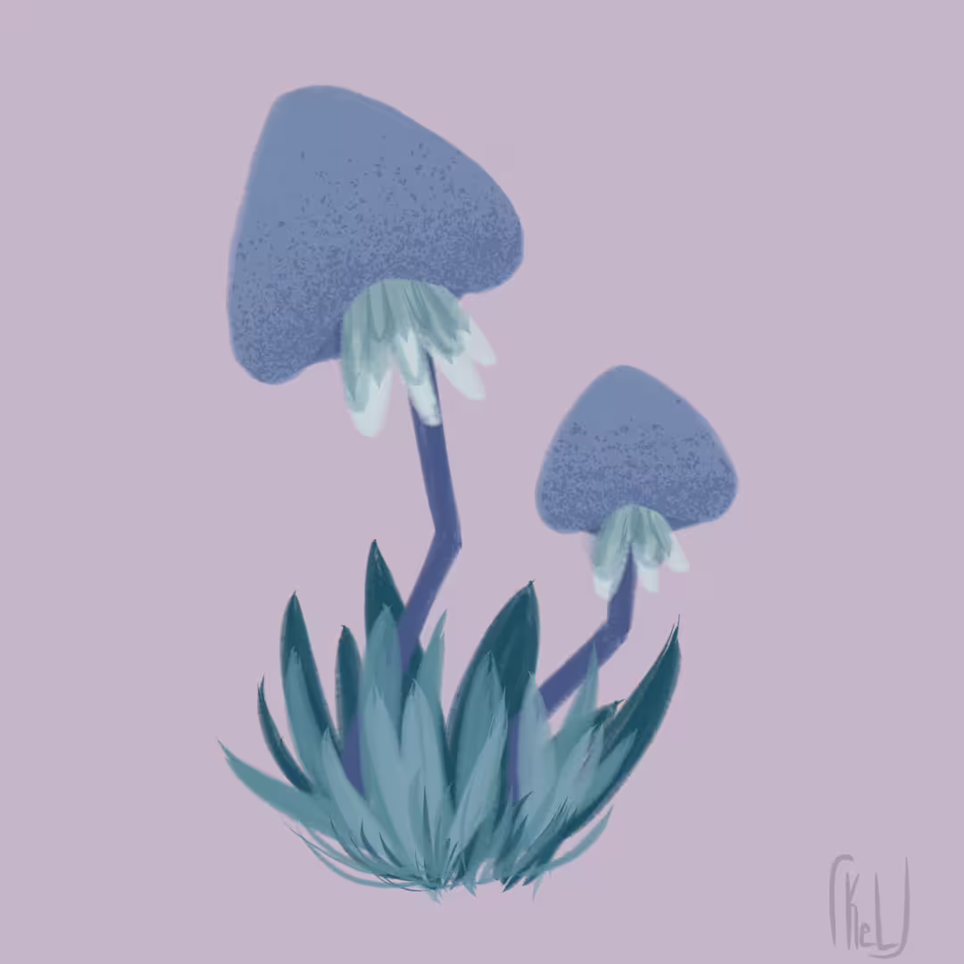 45915/fGYagKmp42sZ0FjSisgZ2hRhMgLZCGl42Vv7g4ed.png