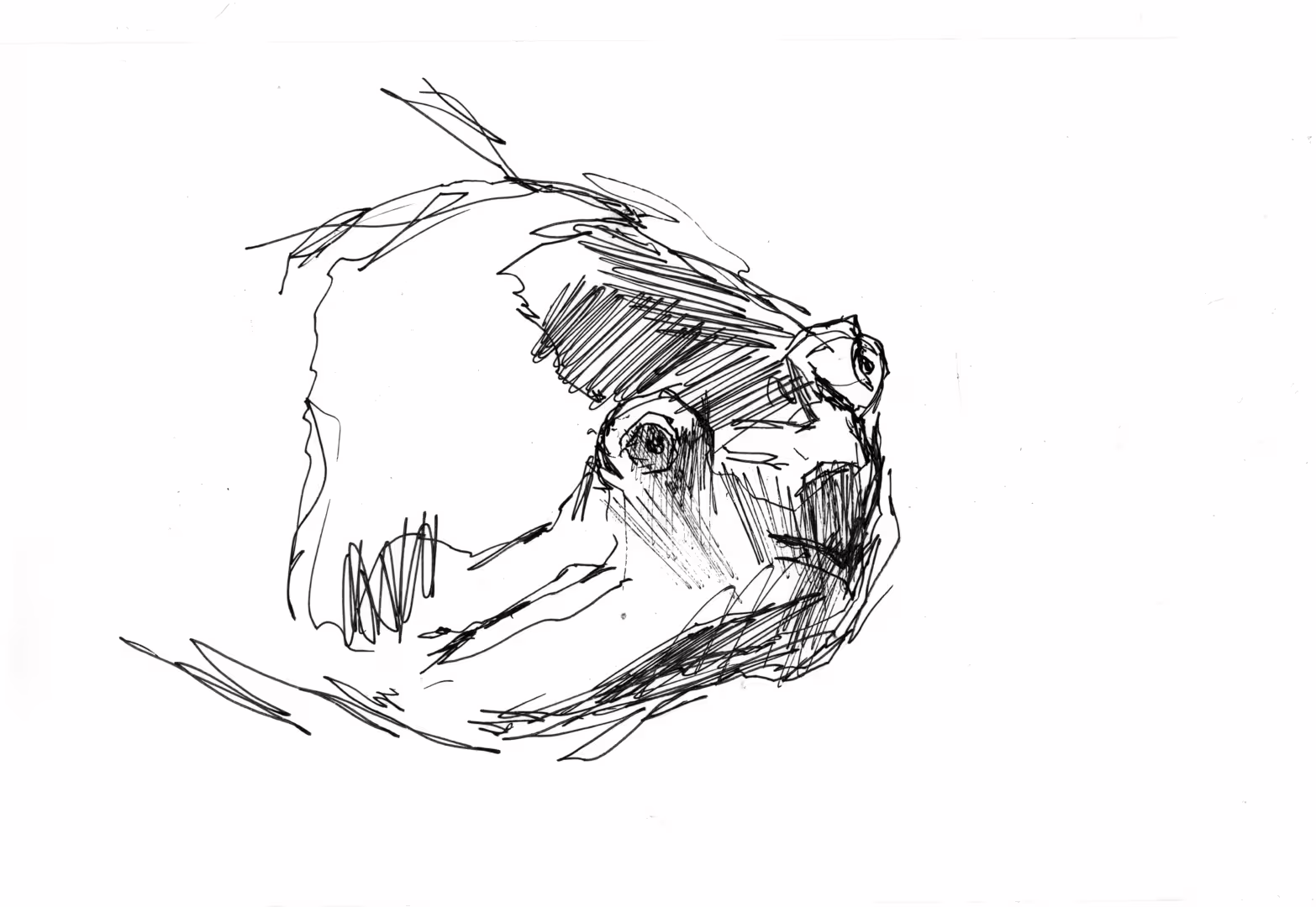 45925/fkafgpstHCEddbK1Iahl76JWphWSrTzto1c3BiWG.png