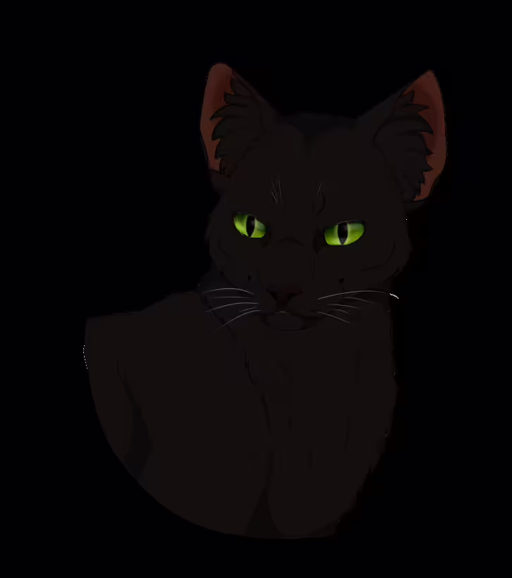 46444/pMYHIRe7vsPaWjedsWz7liUEFkB1wETNPPnIMWNo.png