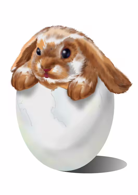 46592/W3V0NMBflF18tlJekTOKOQKjcVVQxKVbSzZblBfW.jpg