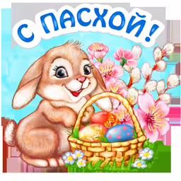 46598/9VVgkEFiOj137rTzsb3qWrJucpzjDtFzkNQsVDn5.png