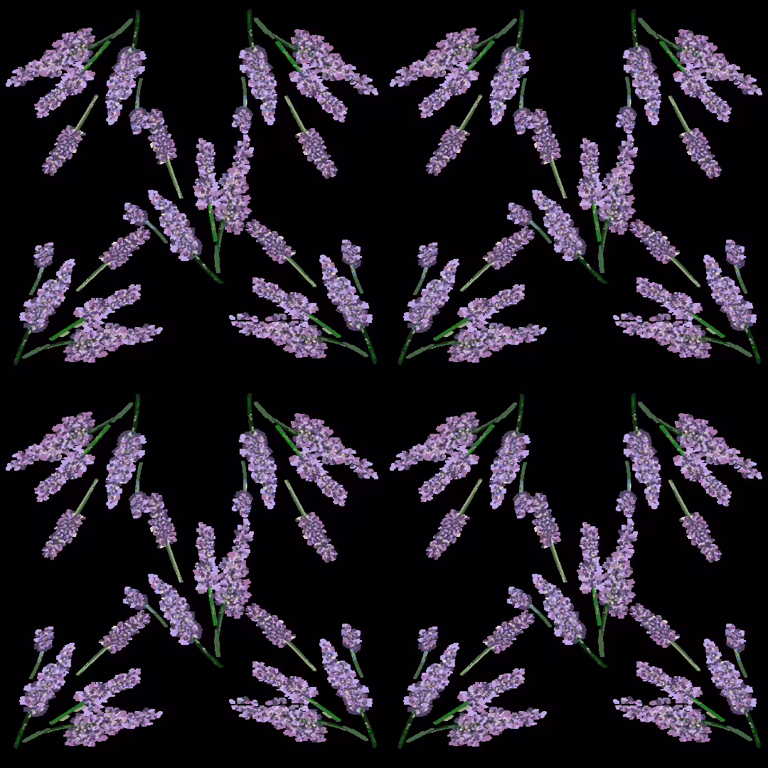 46868/F37CKsx2QxReIDseovDYy2Byj3U69XFVQ3gTX08m.png