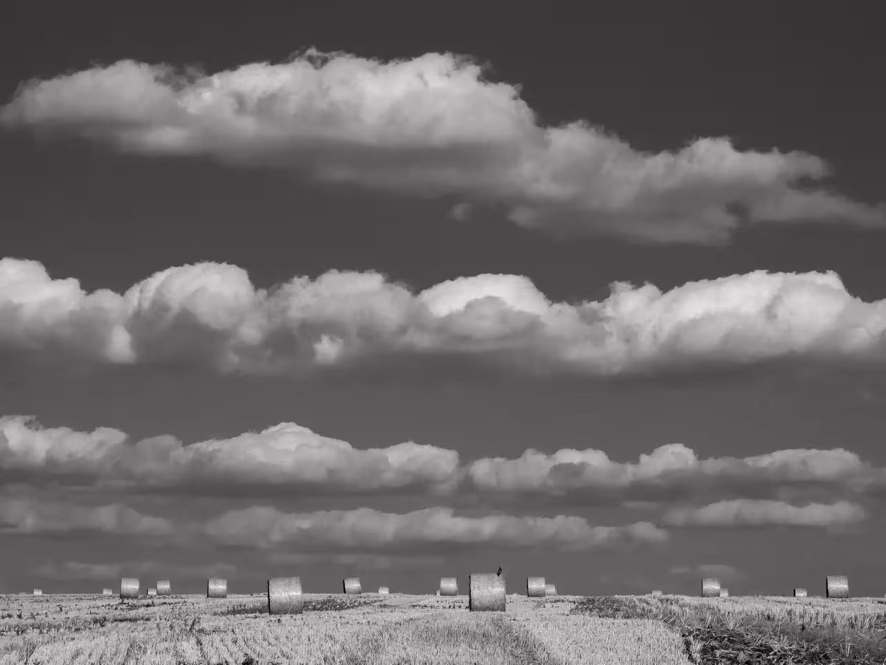 P9221161-4.jpg