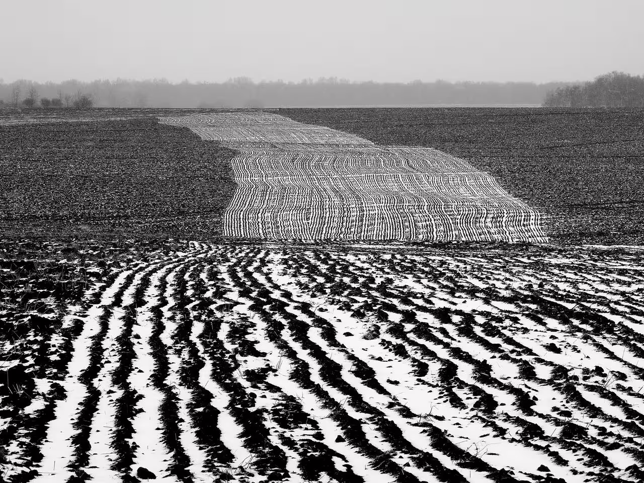 P3317421-004----.jpg