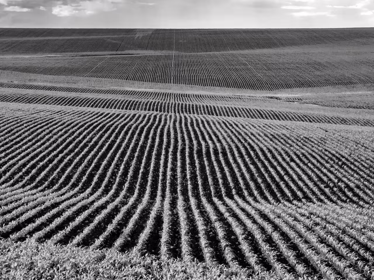 P6035316----.jpg
