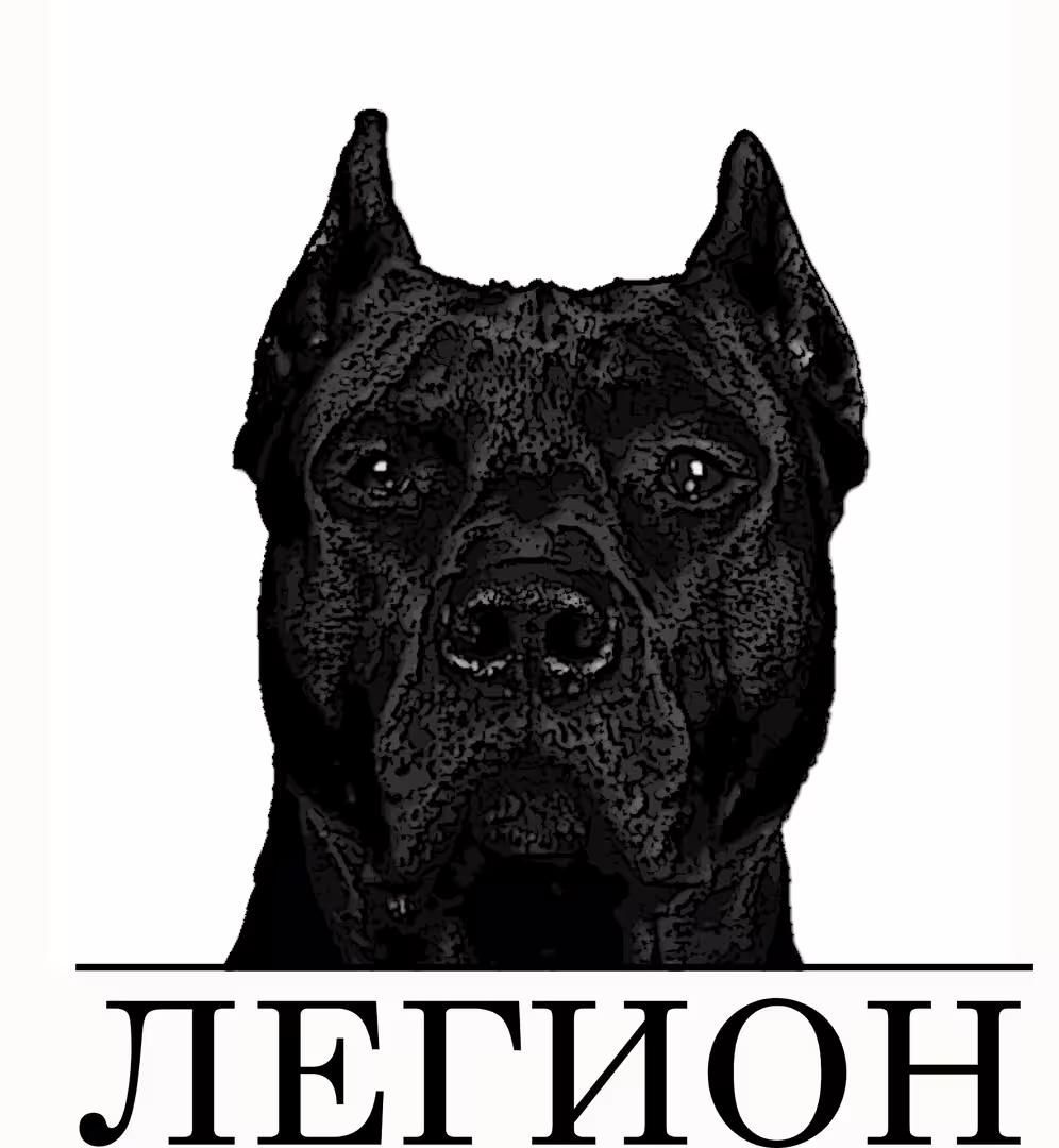 47194/OUKCHX8iGGSrH3jyFEbixCVWigh8mRZNcCwvBk7Y.jpg