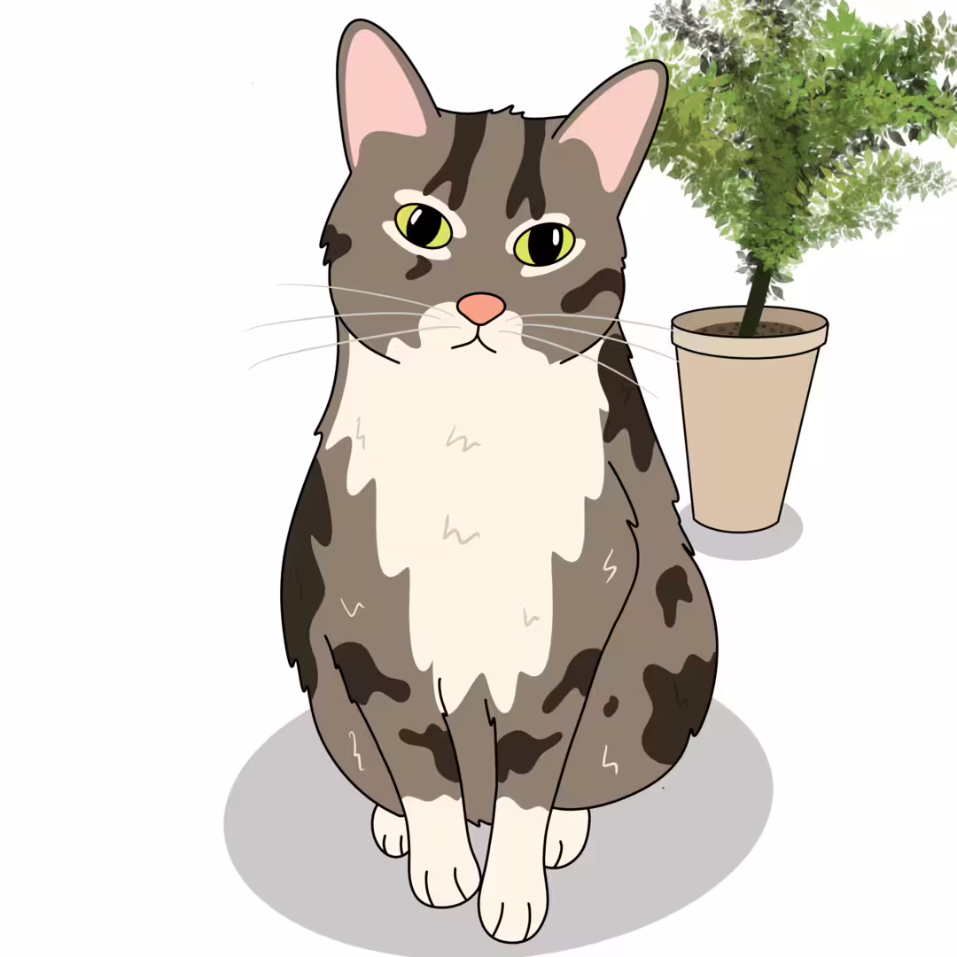 47304/JciofNzxPwryBjPWRWppRLMvXNdLtbM2uhVIjWm2.png
