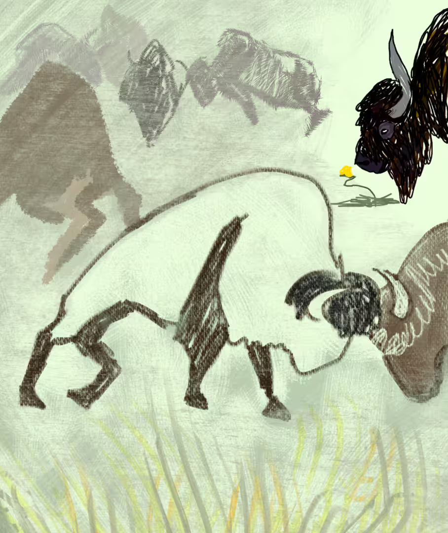 47312/yLhkcmqQOT02J1YFG9vMV6F2Q0r1grgvs3lIkaCk.png