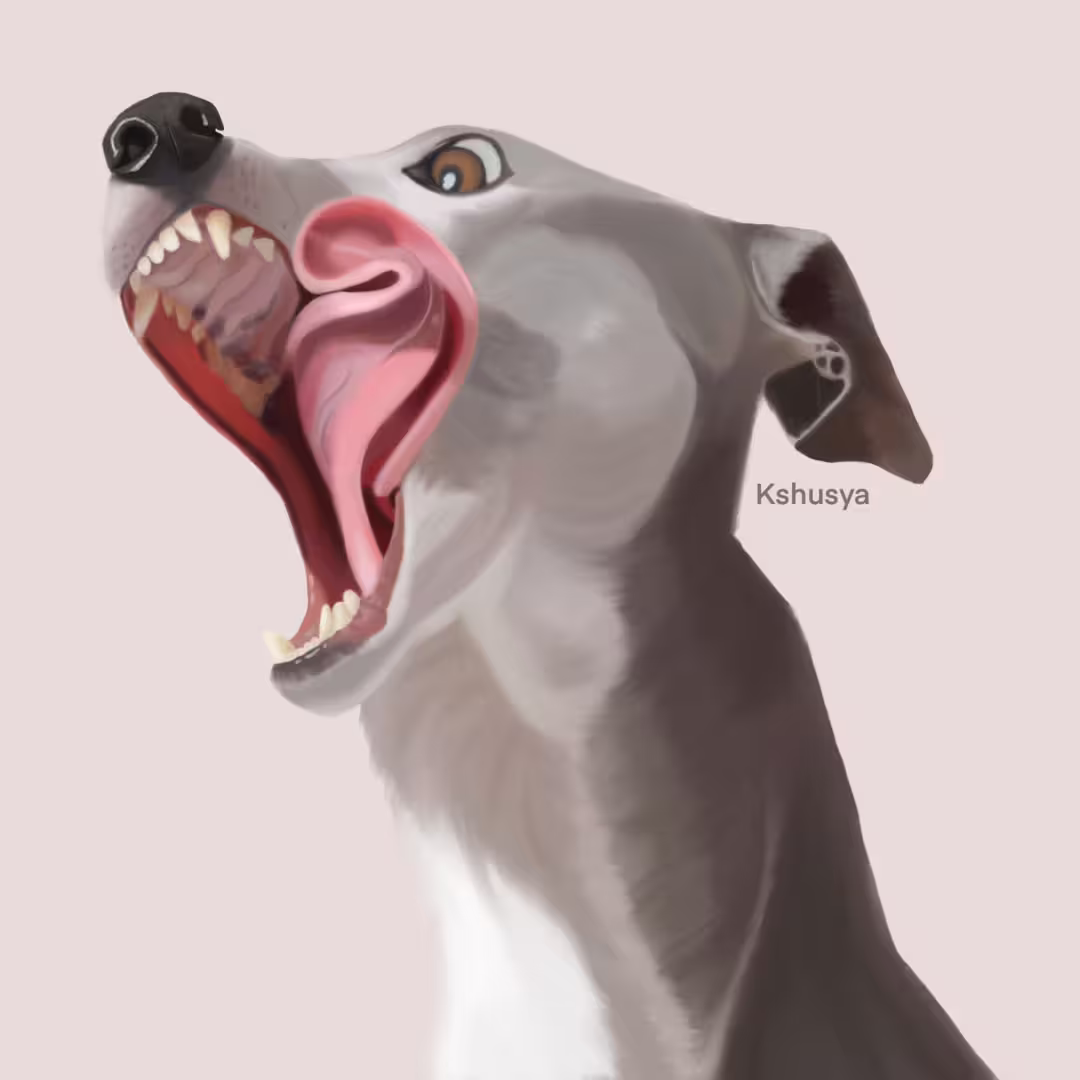 47383/EVy3LkknFXFc2BjSTnv3TVYSIHbvn9uK99lO22b6.png