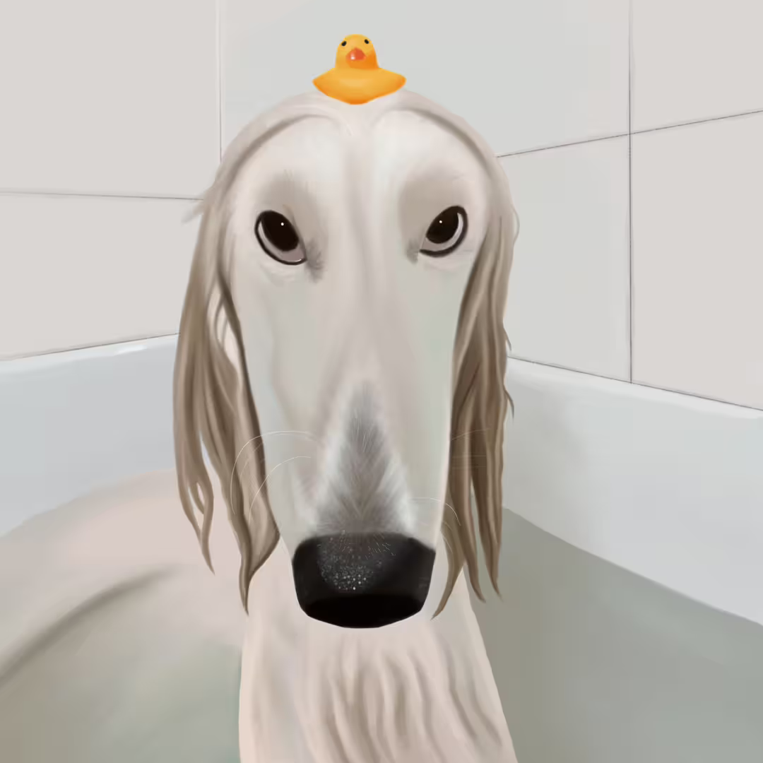 47383/dCPi606omE4prNnDuCTWi92dXDnAYVgLw8y9P4KP.png