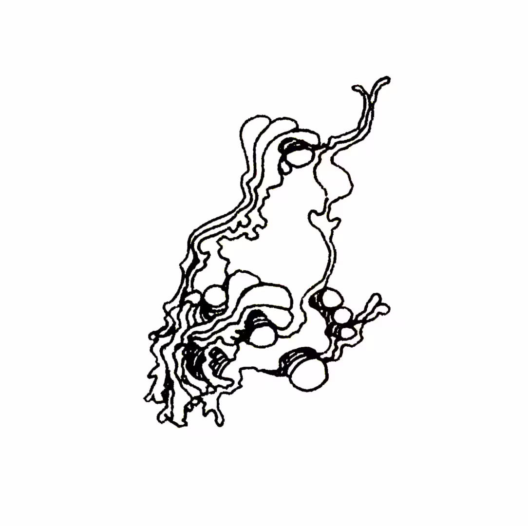 47446/q8YhsbQrkHExMLBSCzSPe1o3bmjV52GpHAadYapM.png